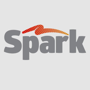 Spark Tool logo